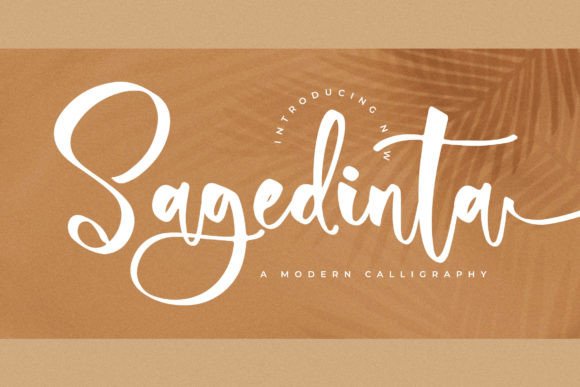 Sagedinta: A Modern Calligraphy Font